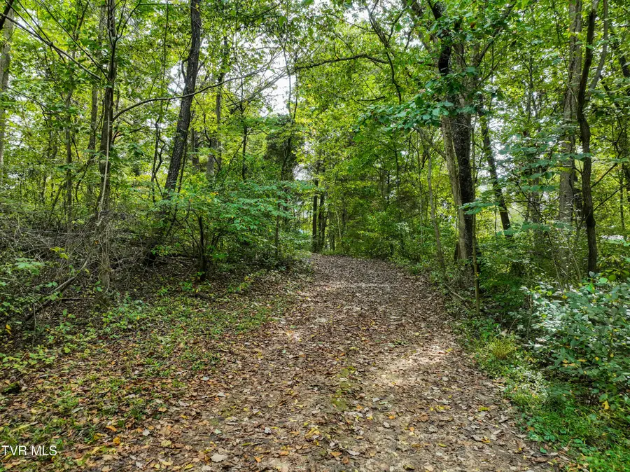 22290 Sugarbush Lane, Abingdon, VA 24211 - Image #3