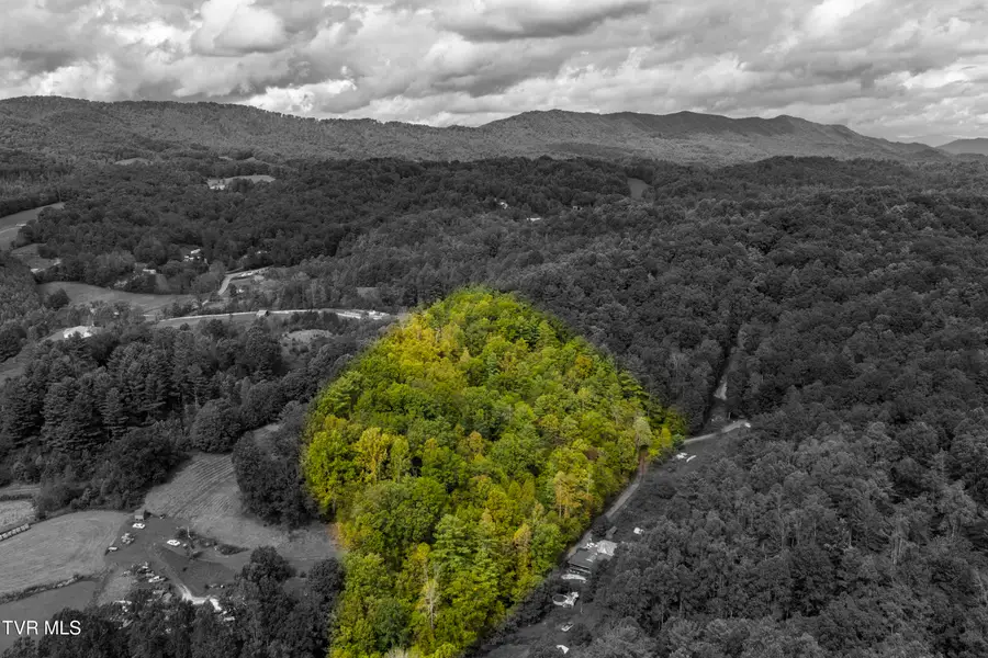 Tbd Tolley Road, Unicoi, TN 37692 - Image #3