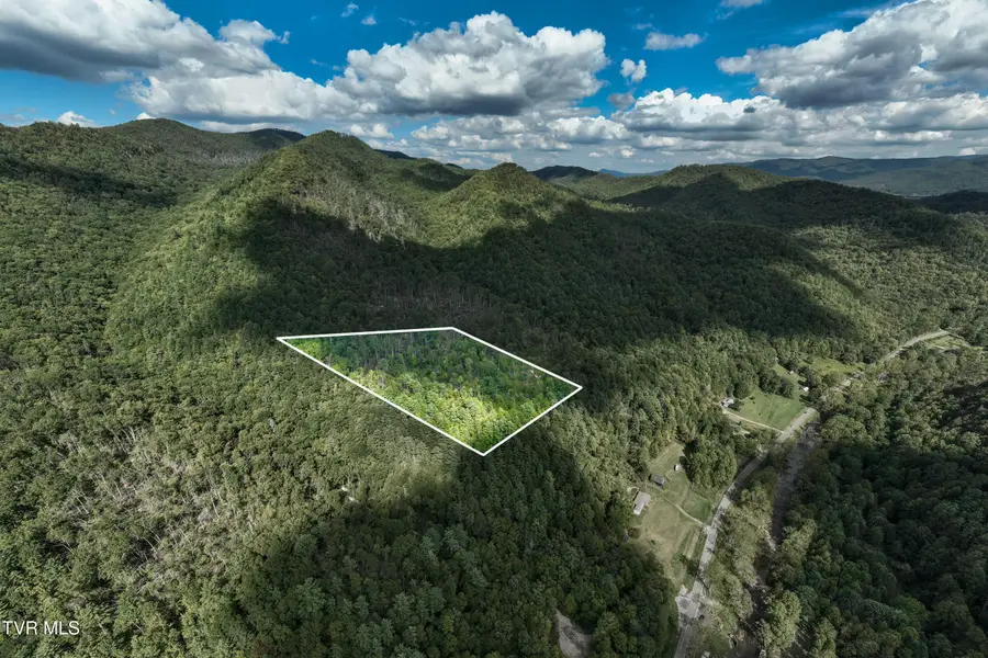 Tbd Roan Creek Road, Butler, TN 37640 - Image #3