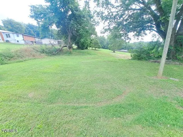 Tbd West Summer Street, Greeneville, TN 37743 - Image #1