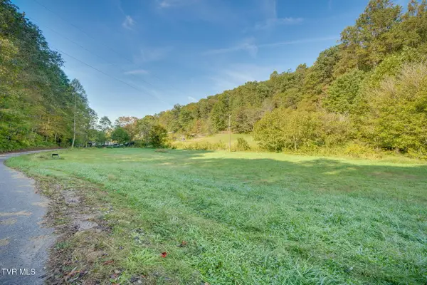Lot 3 Bays Mountain Road, Rogersville, TN 37857