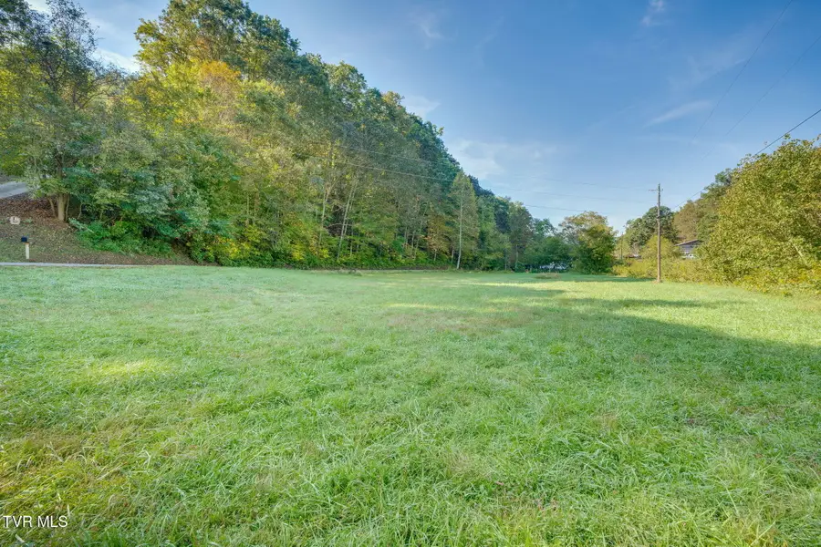 Lot 3 Bays Mountain Road, Rogersville, TN 37857 - Image #2