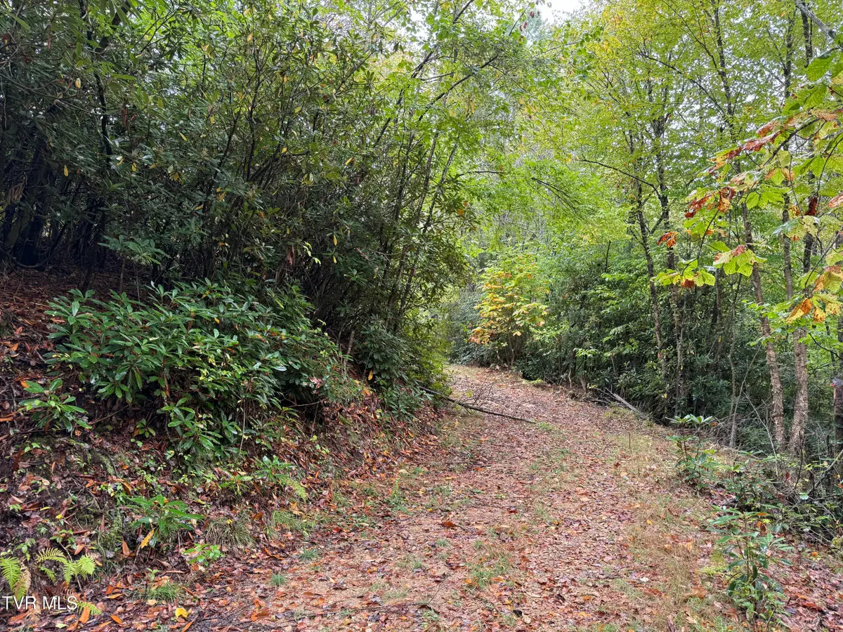 Tbd Clarktown Road, Roan Mountain, TN 37687 - Image #1