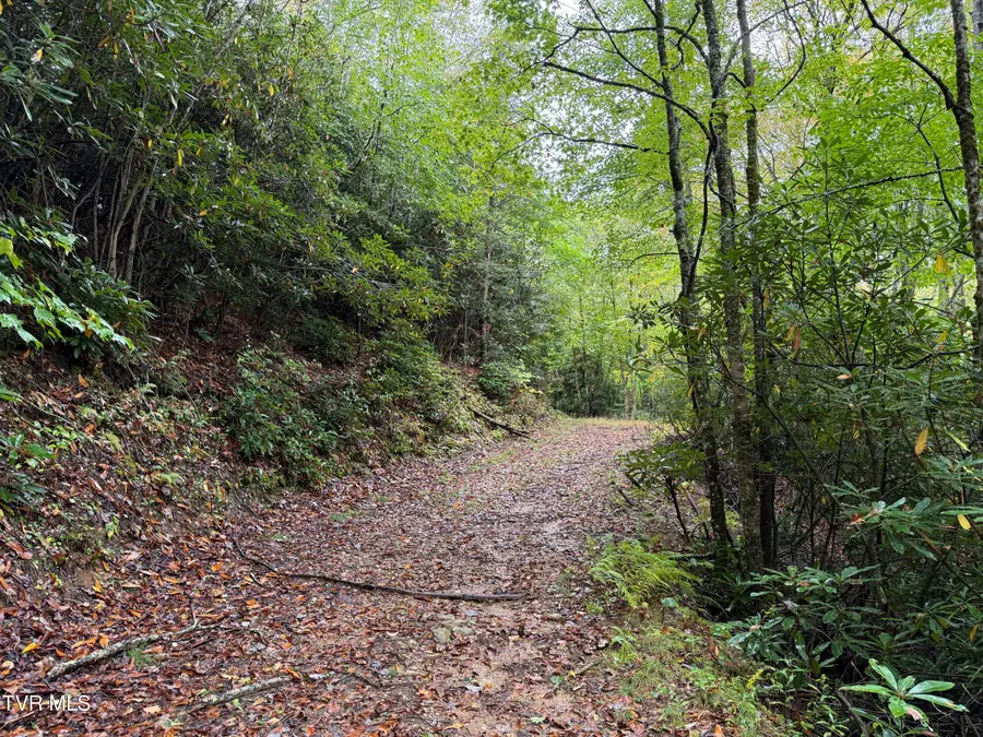 Tbd Clarktown Road, Roan Mountain, TN 37687 - Image #3