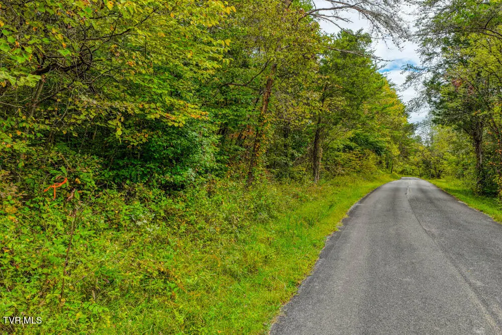 Tbd Butcher Valley Road, Rogersville, TN 37857 - Image #1