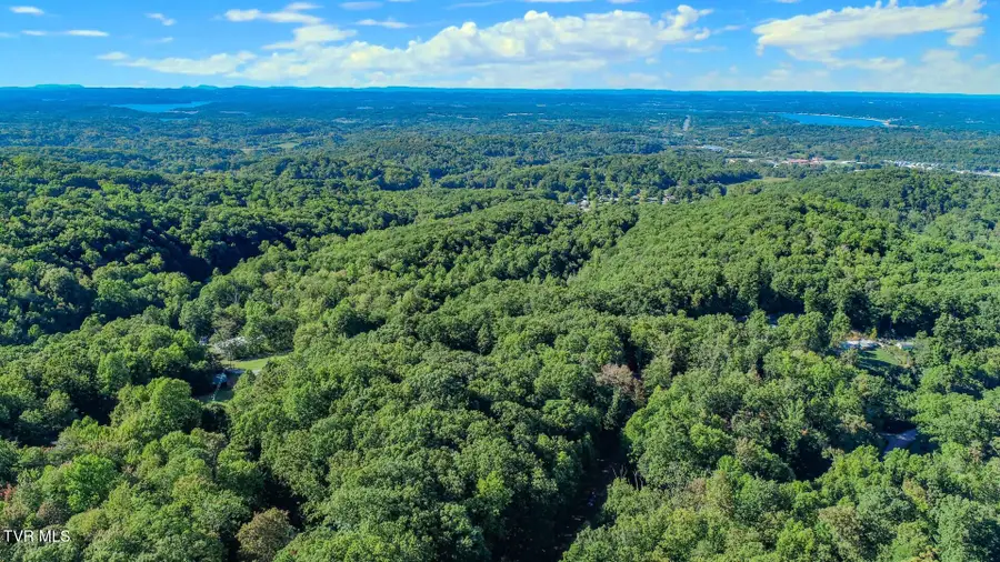 142 Delicious Way, Newport, TN 37821 - Image #2