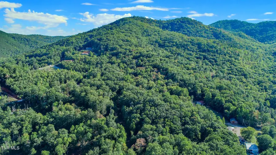 142 Delicious Way, Newport, TN 37821 - Image #3