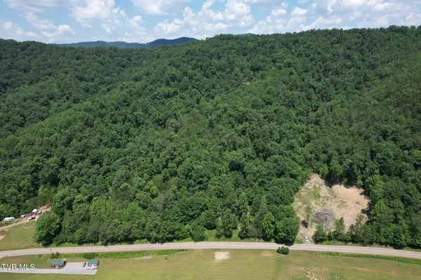 Tbd Pressmens Home Road, Rogersville, TN 37857