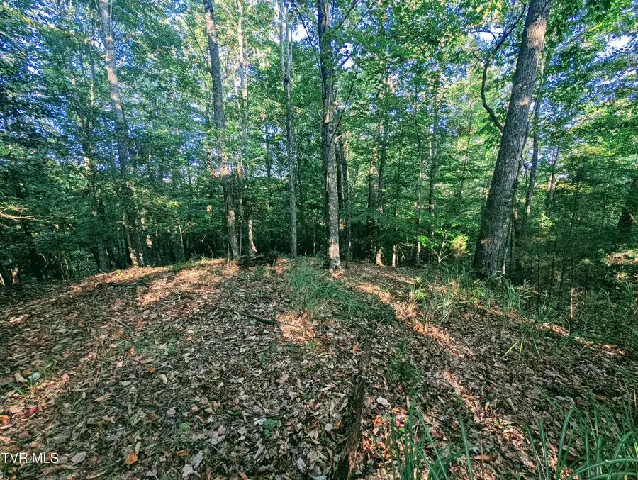 Tbd Blowing Rock, Haysi, VA 24256 - Image #2