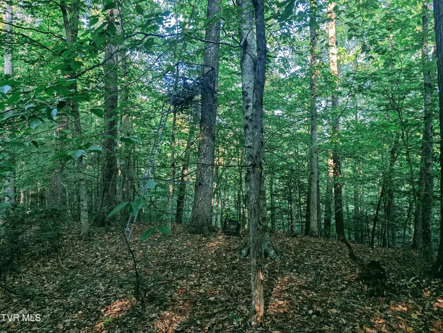 Tbd Blowing Rock, Haysi, VA 24256 - Image #3