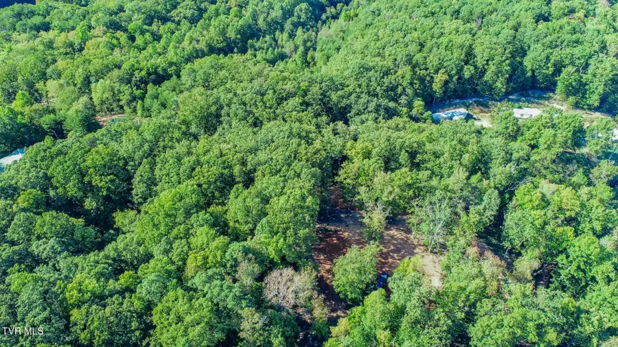 133 Huffman Way, Newport, TN 37821 - Image #2