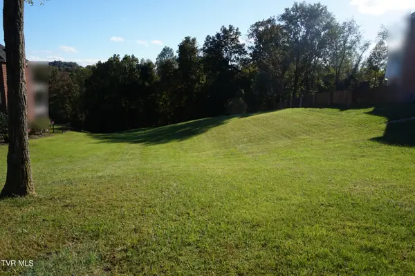 256 Park Ridge Court, Kingsport, TN 37664