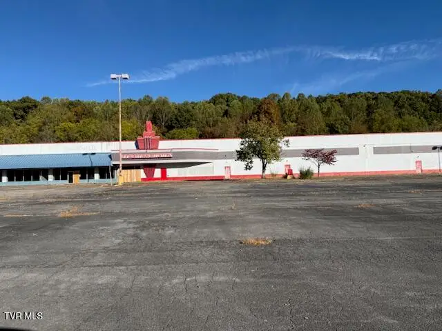 354 Shadowtown Road, Blountville, TN 37617 - Image #3