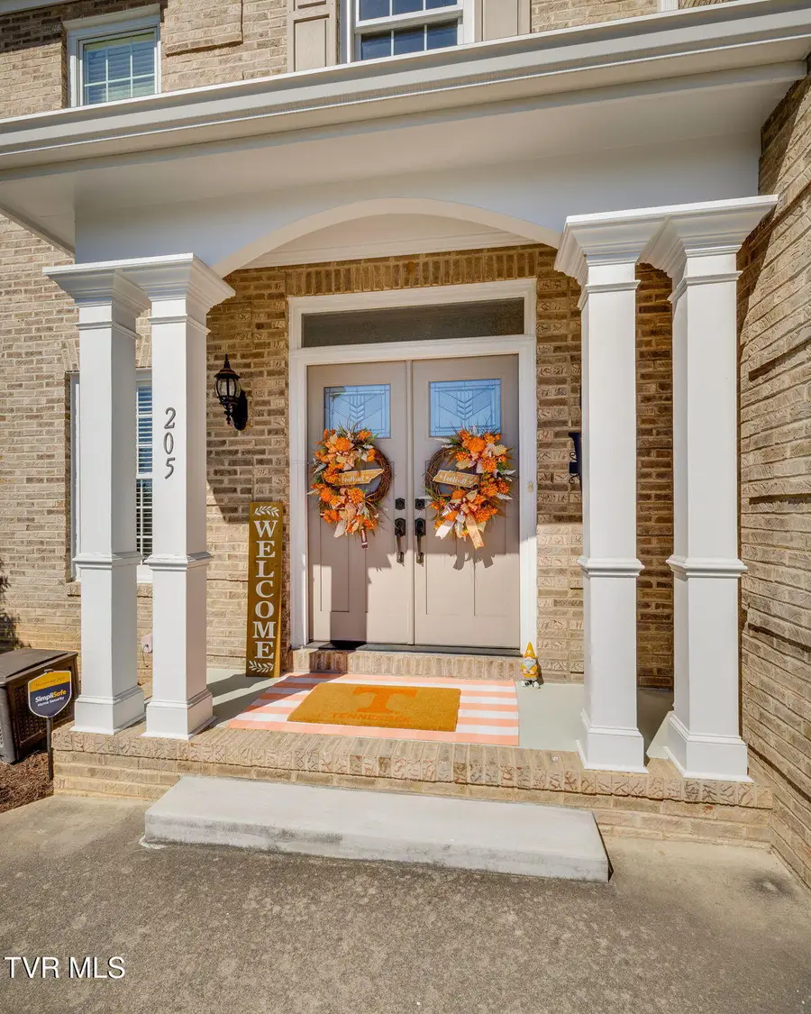 205 Rosehaven Court, Kingsport, TN 37663 - Image #3