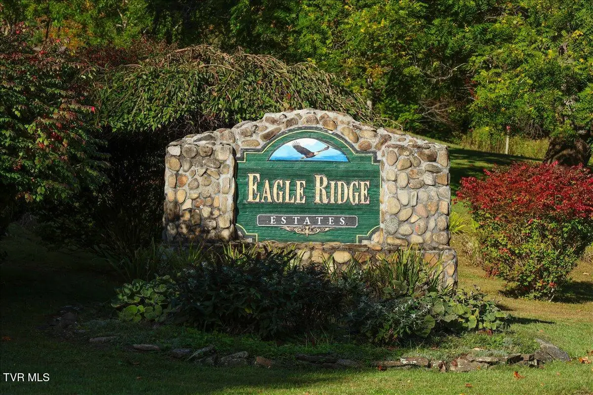 Tbd Eagle Ridge Road, Roan Mountain, TN 37687 - Image #1