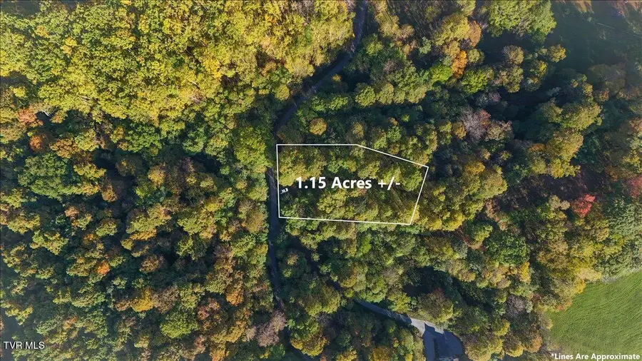 Tbd Eagle Ridge Road, Roan Mountain, TN 37687 - Image #2