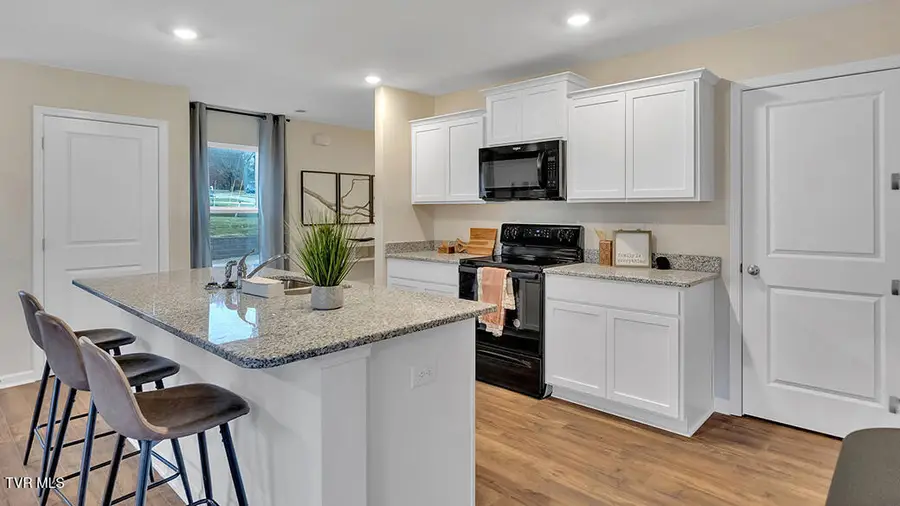 246 Artist Avenue, Johnson City, TN 37615 - Image #3