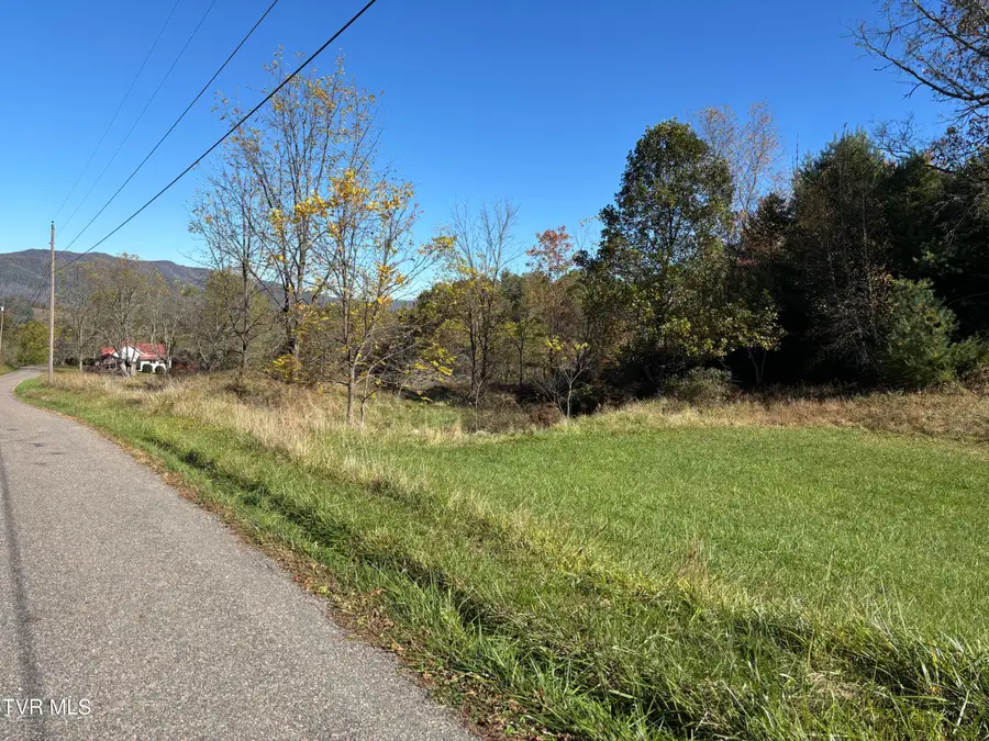 703 Locust Gap Road, Mountain City, TN 37683 - Image #3