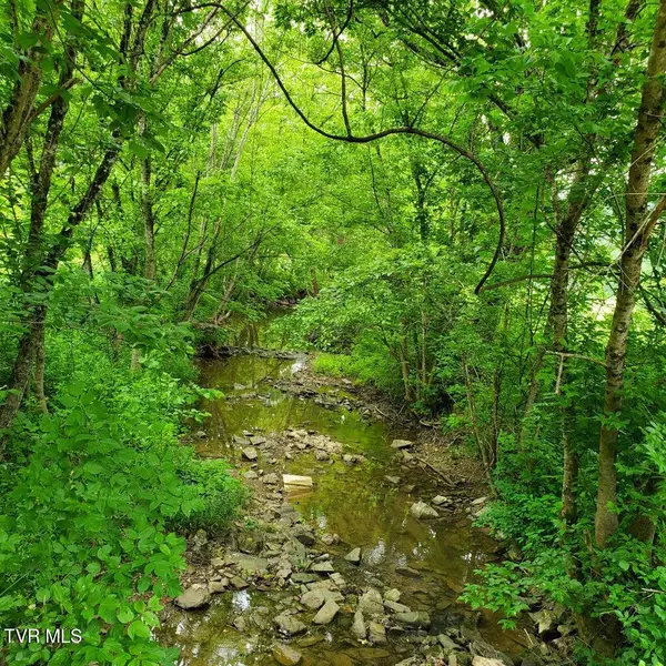 00 Lone Star Road, Kingsport, TN 37660