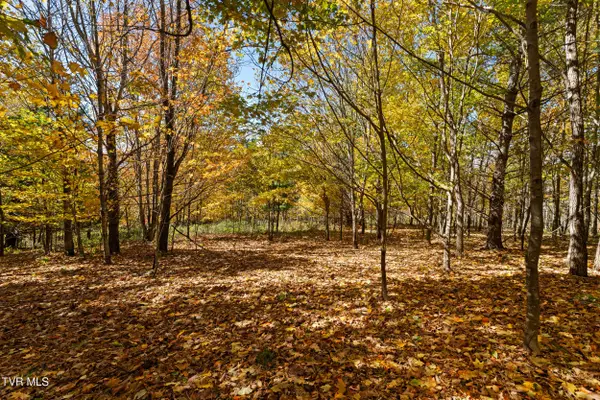 Tbd Modock Northeast Road, Trade, TN 37691