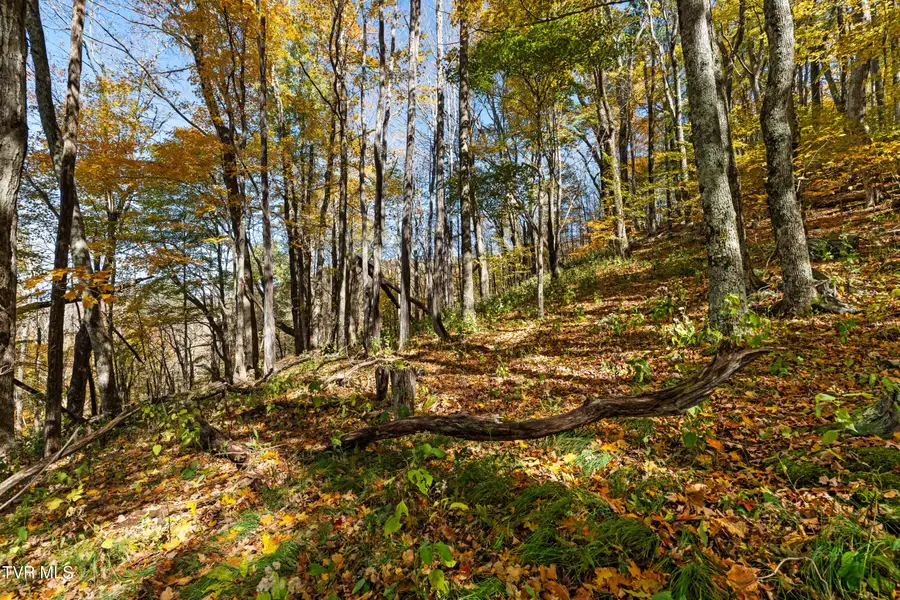 Tbd Modock Northeast Road, Trade, TN 37691 - Image #2