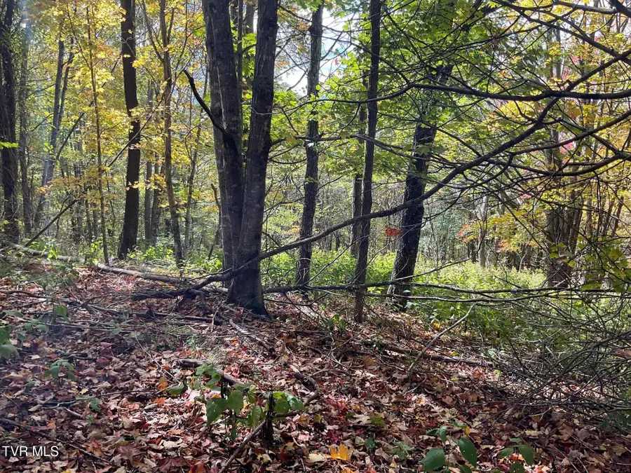 Tbd Modock Northeast Road, Trade, TN 37691 - Image #3