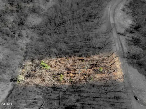 Lot 44 West Of Dry Hill Road, Butler, TN 37640