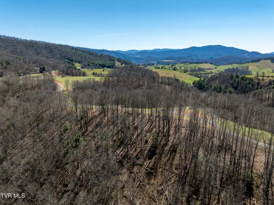 Lot 44 West Of Dry Hill Road, Butler, TN 37640 - Image #2