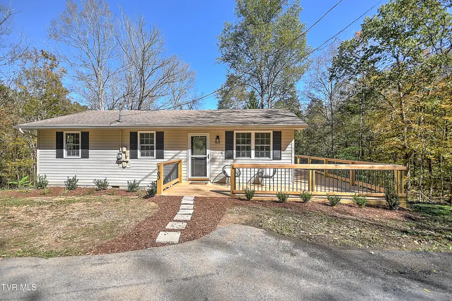 163 Pendleton Road, Blountville, TN 37617 - Image #3