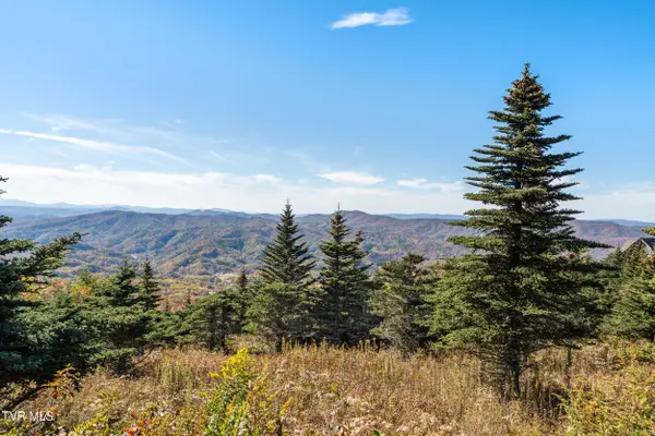 V6 Sun Shine Nvno, Trade, TN 37691