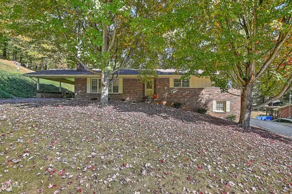 3410 Amoyee Drive, Johnson City, TN 37601