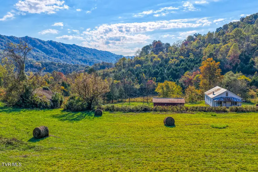 275 Wake Forest Road, Eidson, TN 37731 - Image #3