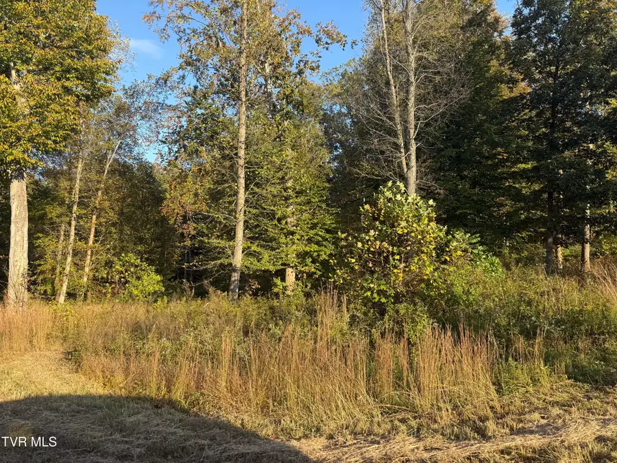 Tbd Smith Hollow Road, Church Hill, TN 37642 - Image #3