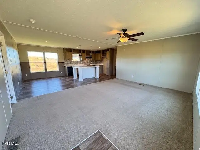 665 Painter Road, Fall Branch, TN 37656 - Image #3