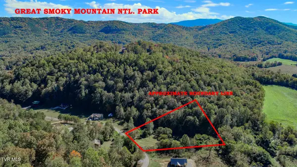 2409 Perilla Dr, Cosby, TN 37722