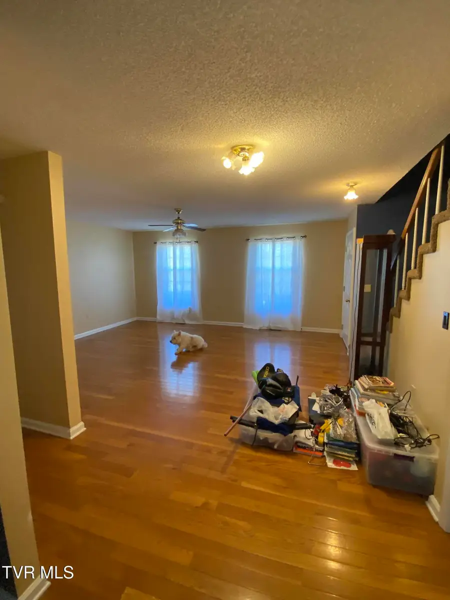 101 Village Lane, Gray, TN 37615 - Image #2