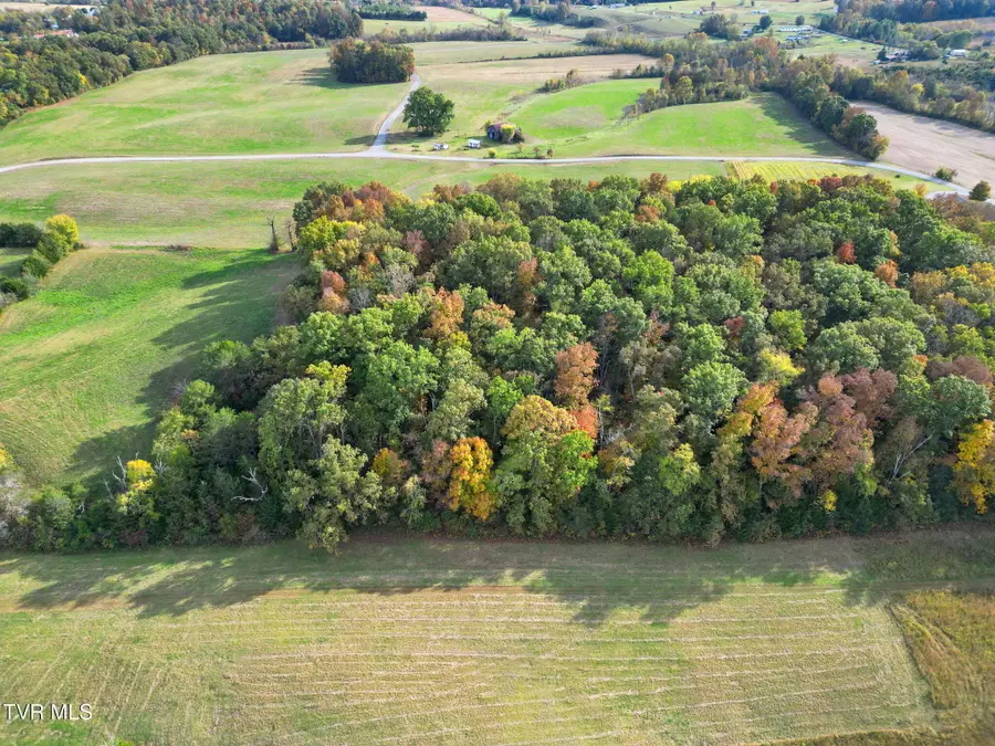 Lot 27 Kenneytown Road, Greeneville, TN 37745 - #2