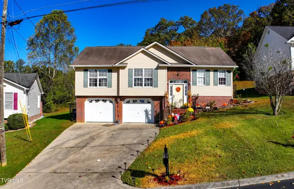 1016 Carrington Court, Kingsport, TN 37660