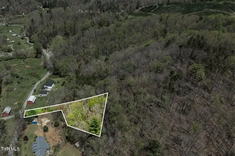 Tbd Hogum Hollow Road, Roan Mountain, TN 37687 - Image #2
