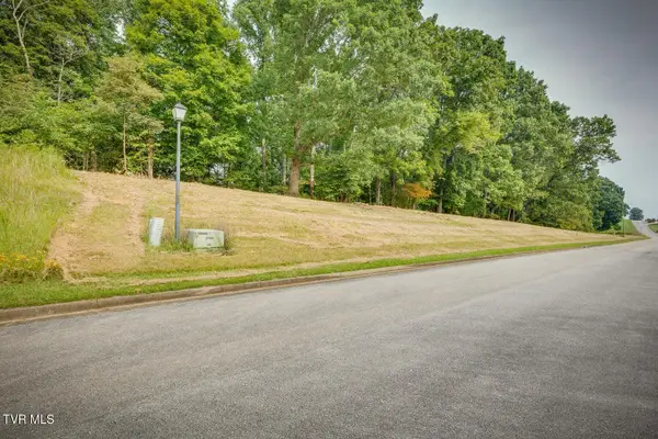 Lot 41 Chimney Top Lane, Chuckey, TN 37641