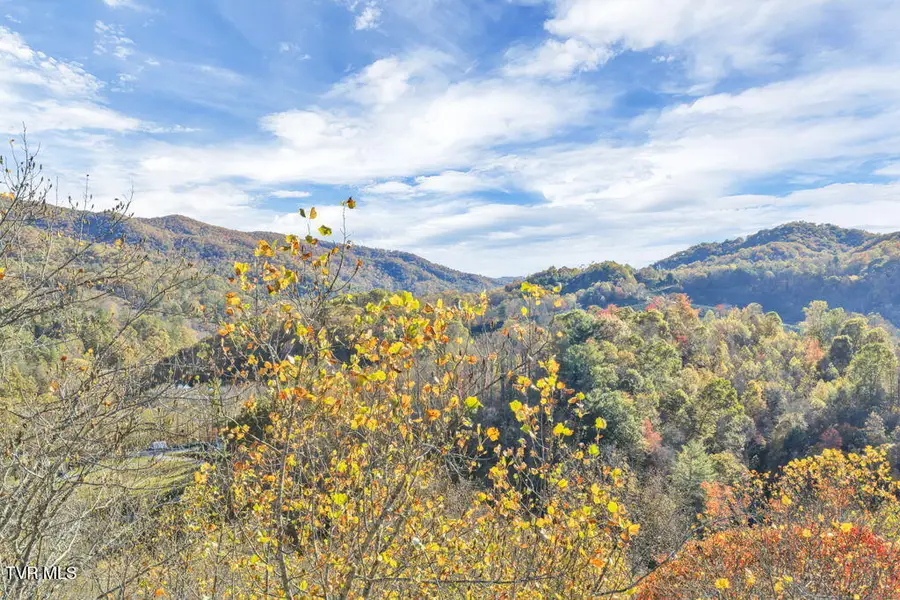 Tbd Hogum Hollow Road, Roan Mountain, TN 37687 - Image #3