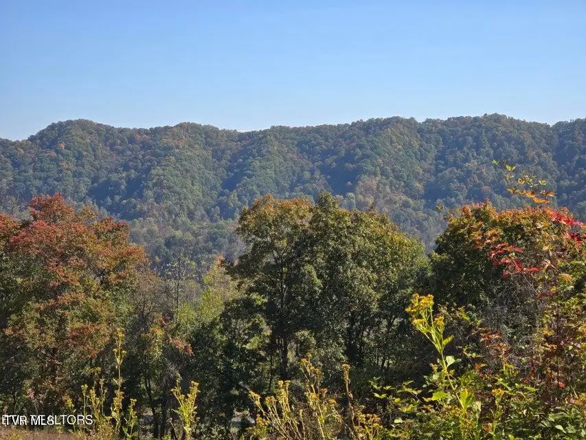 Tbd Copper Ridge Road, Eidson, TN 37731 - Image #2