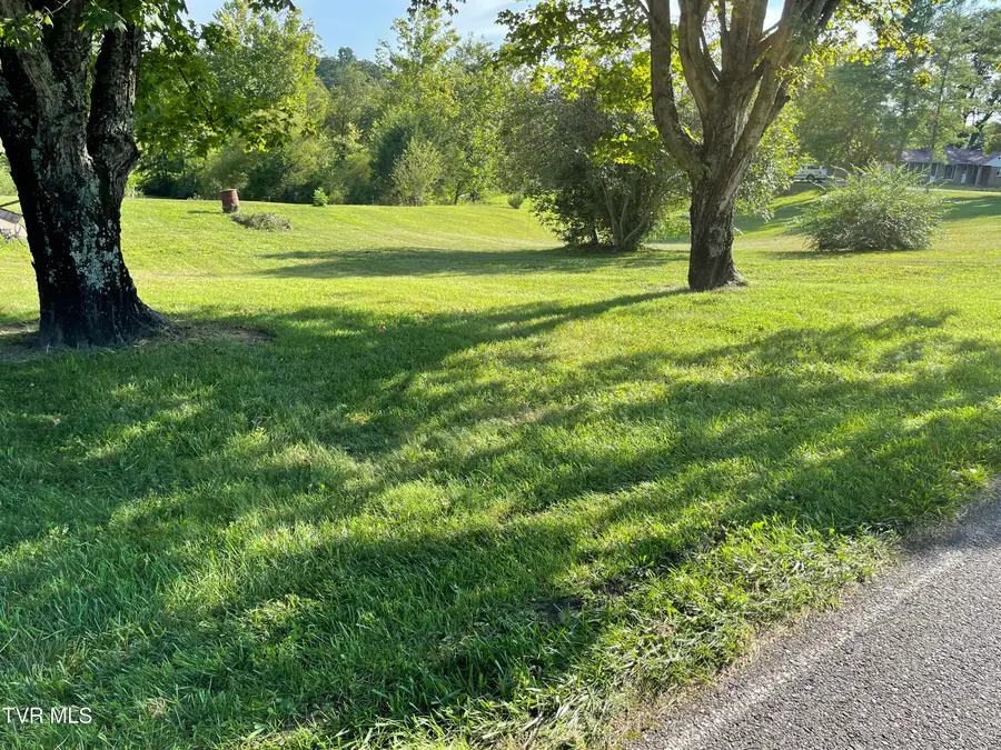 415 Pleasant Hill Road, Bulls Gap, TN 37711 - Image #2