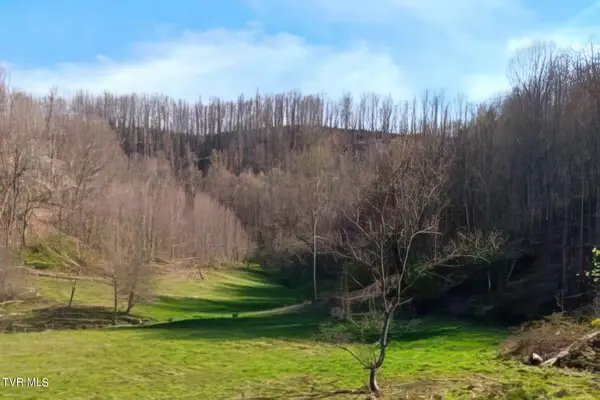 Tbd Miller Lane, Trade, TN 37691