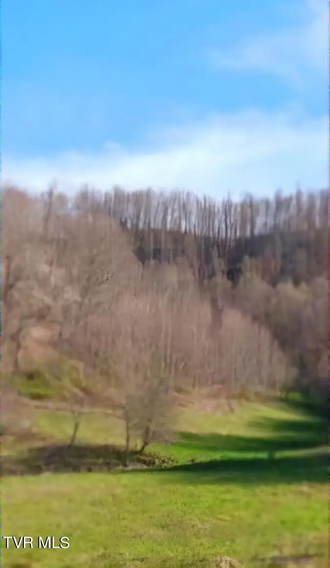 Tbd Miller Lane, Trade, TN 37691 - Image #2