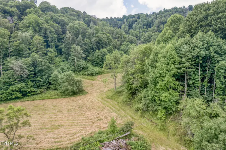 Tbd Miller Lane, Trade, TN 37691 - Image #3