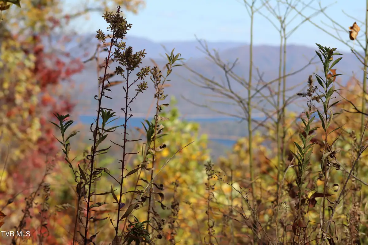 48 Locust Lane, Butler, TN 37640 - Image #1