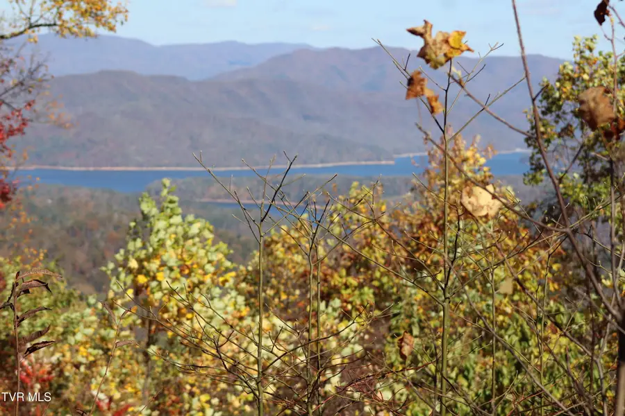 48 Locust Lane, Butler, TN 37640 - Image #2