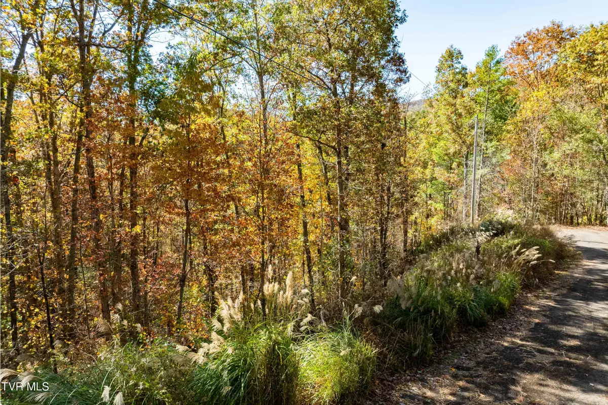 Tbd 000 Blackberry Hill Lane, Mountain City, TN 37683 - Image #1