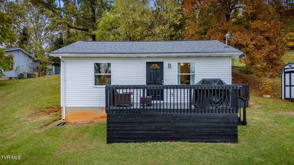 447 Pine Street, Mount Carmel, TN 37645